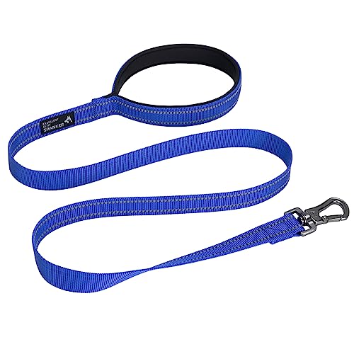 EXCELLENT ELITE SPANKER Starke strapazierfähige Nylon Hundetrainingsleine 4 Fuß lang 1" breit mit bequemem gepolstertem Griff für kleine und mittlere Hunde(BLU) von EXCELLENT ELITE SPANKER