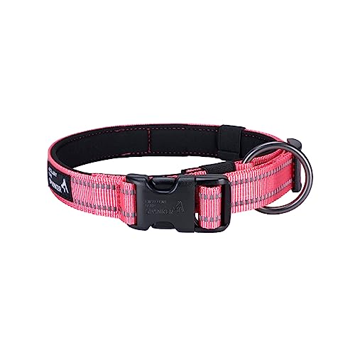 EXCELLENT ELITE SPANKER Reflektierendes Hundehalsband mit Sicherheitsverschluss, verstellbare Nylonhalsbänder für kleine, mittelgroße und große Hunde (L, PIK) von EXCELLENT ELITE SPANKER