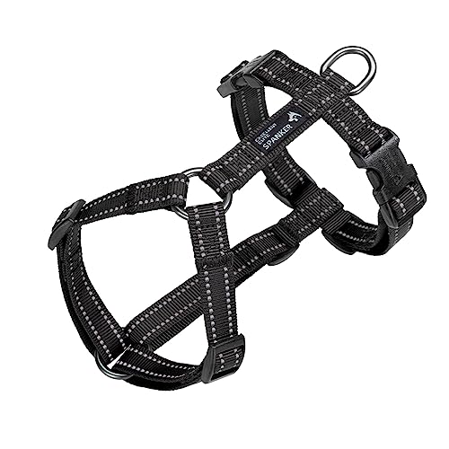 EXCELLENT ELITE SPANKER Spaziergang Hundegeschirr weich gepolstert reflektierende Weste Geschirr Anti-Twist-Leine für kleine mittlere große Hund Katze(BLK,L) von EXCELLENT ELITE SPANKER