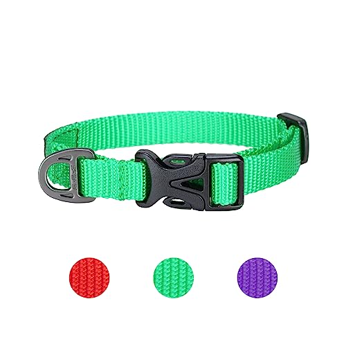 EXCELLENT ELITE SPANKER Welpen Halsbänder Hund Katzenhalsbänder,Kleines Hundehalsband Katzenhalsband Einstellbar für kleine Haustier Hund(Green) von EXCELLENT ELITE SPANKER