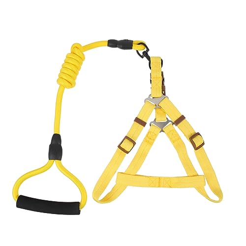EXHUMKY 1 Set Haustierleine, Nylon Hundeleine, Hundegeschirr, Geschirr Für Kleine Hunde, Hundeleinen Set Zum Spazierengehen, Hundegeschirr, Trainingsleine Für Welpen, Welpengeschirr EXHUMKY 1 Set Haustierleine, Nylon Hundeleine, Hundegeschirr, Geschirr Für Kleine Hunde, Hundeleinen Set Zum Spazierengehen, Hundegeschirr, Trainingsleine Für Welpen, Welpengeschirr von EXHUMKY