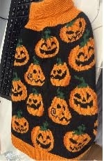 EXPAWLORER Halloween-Hundepullover – Kürbis-Herbst-Hundepullover mit Loch für die Leine, warmer Rollkragenpullover für kleine, mittelgroße und große Hunde und Katzen, Orange, Größe XS von EXPAWLORER