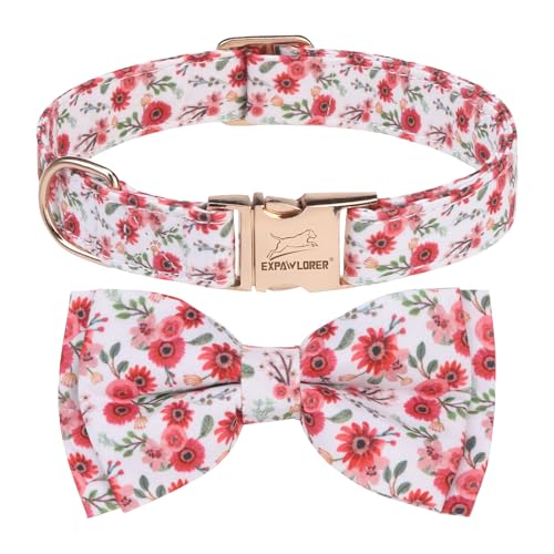 EXPAWLORER Hundehalsband mit Blumenmuster – Blumen-Hundehalsband mit Schleife, niedliches Hundehalsband mit robuster Metall-Schnellverschluss-Schnalle, verstellbares Welpenhalsband für kleine, von EXPAWLORER