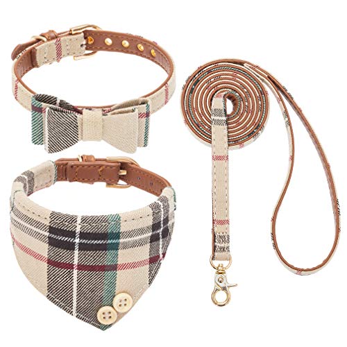 EXPAWLORER Hundehalsband mit Leine - Einstellbarer Hundehalsband mit Tuch und Fliege, haltbarer weicher Hundeleine, moderner Halsband und Leine Set Hund für kleine mittelgroße Hunde, Beige M von EXPAWLORER