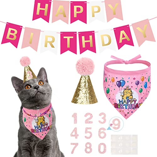 EXPAWLORER Katze Geburtstag Party Supplies, Kitty Bandana Schal & Geburtstag Zahl Hut Set mit Flagge, rosa Happy Birthday Party Supplies Dekorationen für Mädchen Kätzchen, Welpen von EXPAWLORER