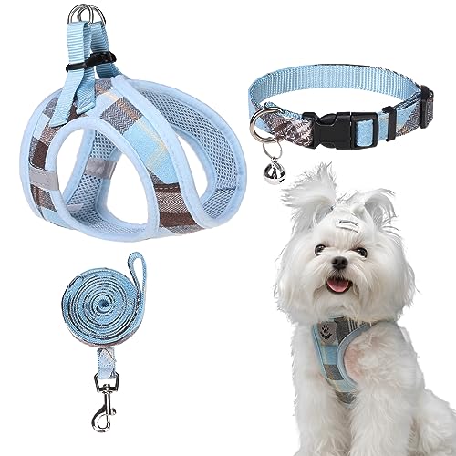 EXPAWLORER Classic Plaid Step in Hundegeschirr – Halsband und Leine für kleine Hunde – weiches Netzgewebe, gepolstert, verstellbar, kein Ziehen, reflektierend, ausbruchsicher, für Spaziergänge im von EXPAWLORER