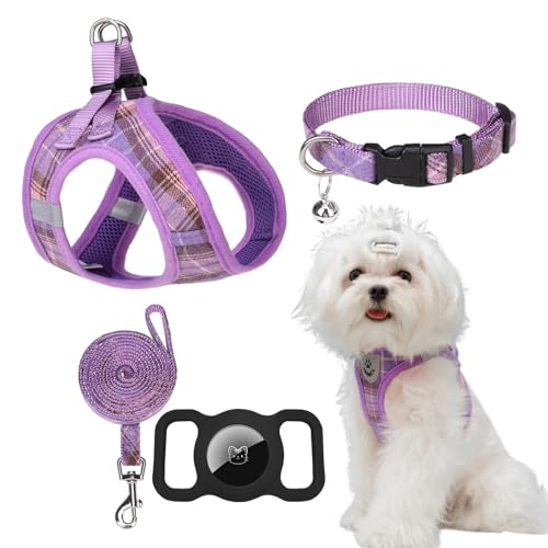 EXPAWLORER Hundegeschirr und Leine, klassisches Karomuster, Hundehalsband und Leine, Set mit AirTag-Halter, weich gepolstert, kein Ziehen, reflektierend, für den Außenbereich, Lila, Größe XS von EXPAWLORER