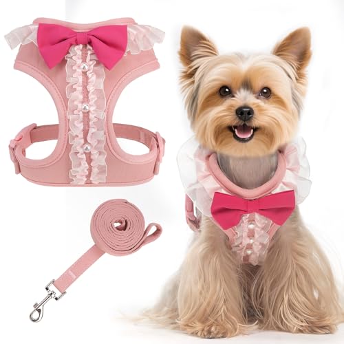 EXPAWLORER Niedliches Hundegeschirr, verstellbar, kein Ziehen, Geschirr mit Leine zum Spazierengehen, weich gepolstert, Hochzeitskleidung, Anzug mit Fliege für kleine, mittelgroße Hunde, Größe XS EXPAWLORER Niedliches Hundegeschirr, verstellbar, kein Ziehen, Geschirr mit Leine zum Spazierengehen, weich gepolstert, Hochzeitskleidung, Anzug mit Fliege für kleine, mittelgroße Hunde, Größe XS von EXPAWLORER