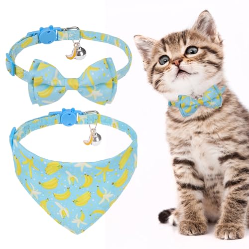 EXPAWLORER Niedliches Katzenhalsband mit Glöckchen – 2 Stück, Katzenhalsband, Katzen-Bandana, Halsband für Mädchen, Jungen, Katzen, verstellbares Obst-Kätzchen-Halsband für weibliche und männliche von EXPAWLORER