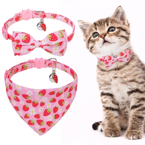 EXPAWLORER Niedliches Katzenhalsband mit Glöckchen – 2 Stück, Katzenhalsband, Katzen-Bandana-Halsband für Mädchen, Jungen, Katzen, verstellbares Obst-Kätzchen-Halsband für weibliche und männliche von EXPAWLORER