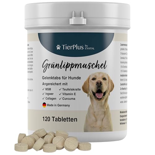 TierPlus Gelenktabletten für Hunde mit Grünlippmuschel, MSM, Ingwer, Chondroitin, Glucosamin und Teufelskralle angereichert. Hohe Fressakzeptanz, 120 Stück, Made in Germany von EXVital