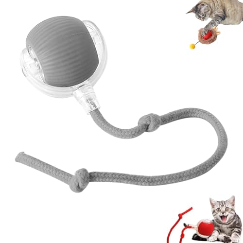 Interaktives Ballspielzeug FüR Katzen, Katzen Ball Elektrisch Katzenspielzeug, Katzenspielzeug Elektrisch Mit Usb Aufladbar, 3 Arbeitsmodi, 360° Rolling Smart Ball FüR Katzen Und Hunde (Grau) von EagerMinds