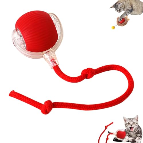 Interaktives Ballspielzeug FüR Katzen, Katzen Ball Elektrisch Katzenspielzeug, Katzenspielzeug Elektrisch Mit Usb Aufladbar, 3 Arbeitsmodi, 360° Rolling Smart Ball FüR Katzen Und Hunde (Rot) von EagerMinds