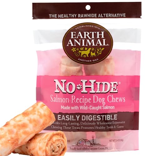 Earth Animal No Hide Stix – Kausnacks für Hunde ohne natürliche Rohhaut mit Lachsgeschmack – 10 Stück (1 Stück) von Earth Animal