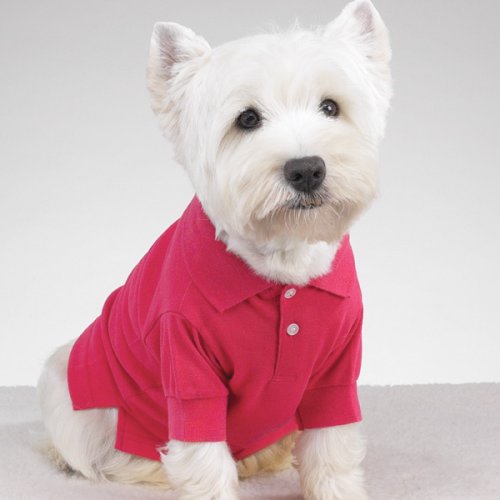 Preppy Puppy Puppy Poloshirt – Montauk Pink (Größe S) von East Side Collection