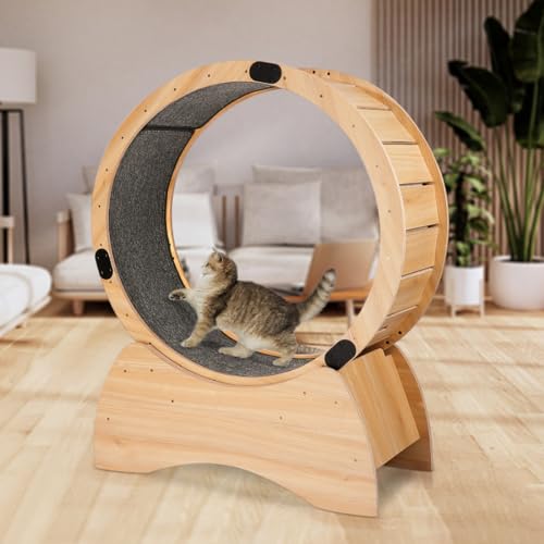 Katzen-Trainingsrad, Katzenrad mit Teppichlaufbahn, Katzenlaufrad für Indoor-Katzen, Kitty Cat Sport Spielzeug, ideal für körperliche Aktivität und Reduzierung von Langeweile (Grundmodell) von EastVita