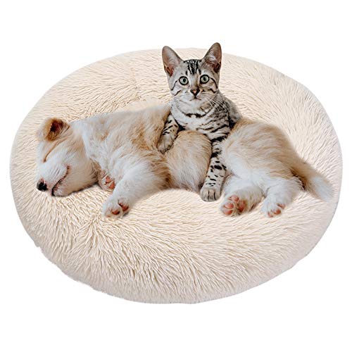 Eastlion Haustierbett Rund Plüsch,Hundebett Donut Kissen Warme Flauschig Weich,Schöne Katzenbett Waschbar Schlafen Bett für Welpen Katzen Hunde (Beige,XL:80CM) von Eastlion