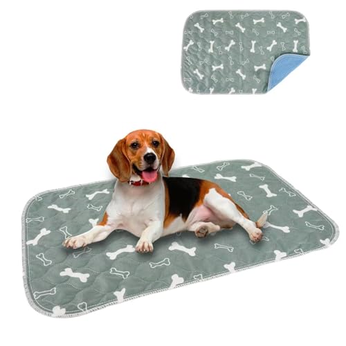 Eastlion Trainingsunterlagen Welpen,Welpenunterlagen Waschbar,Wiederverwendbare Puppy Training Pads,rutschfeste und Saugfähige Hundepinkeleinlagen für Hunde/Katzen(60x40 cm 1 Stück) S-Grau von Eastlion