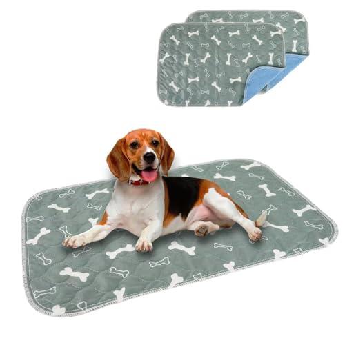 Eastlion Trainingsunterlagen Welpen,Welpenunterlagen Waschbar,Wiederverwendbare Puppy Training Pads,rutschfeste und Saugfähige Hundepinkeleinlagen für Hunde/Katzen(60x40 cm 2 Stück) S-Grau von Eastlion