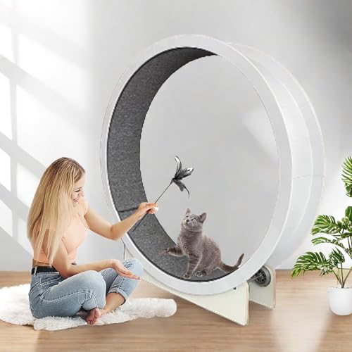 Cat Wheel Indoor-Laufband für Katzen, extragroßes 47-Zoll-Laufrad für Katzen mit Laufbahn aus Teppich, Gerät zur Gewichtsabnahme für Katzen von Eastnmythet