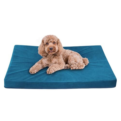 Easy-Going Hundebett für kleine Hunde, 100 % wasserdicht, Deluxe-Plüsch-Hundebett mit rutschfester Unterseite, Eierkisten-Schaumstoff und maschinenwaschbarer Haustierbettbezug (50,8 x 38,1 x 7,6 cm, von Easy-Going