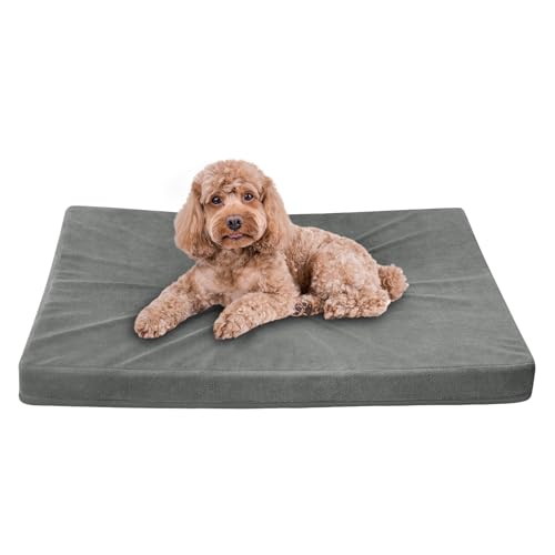 Easy-Going Hundebett für kleine Hunde, 100 % wasserdicht, Deluxe-Plüsch-Hundebett mit rutschfester Unterseite, Eierkisten-Schaumstoff und maschinenwaschbarer Haustierbettbezug (50,8 x 38,1 x 7,6 cm, von Easy-Going