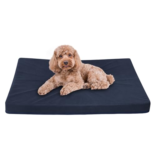 Easy-Going Hundebett für kleine Hunde, 100 % wasserdicht, Deluxe-Plüsch-Hundebett mit rutschfester Unterseite, Eierkisten-Schaumstoff und maschinenwaschbarer Haustierbettbezug (50,8 x 38,1 x 7,6 cm, von Easy-Going