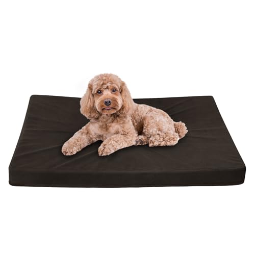 Easy-Going Hundebett für kleine Hunde, 100 % wasserdicht, Deluxe-Plüsch-Hundebett mit rutschfester Unterseite, Eierkisten-Schaumstoff und maschinenwaschbarer Haustierbettbezug (50,8 x 38,1 x 7,6 cm, von Easy-Going