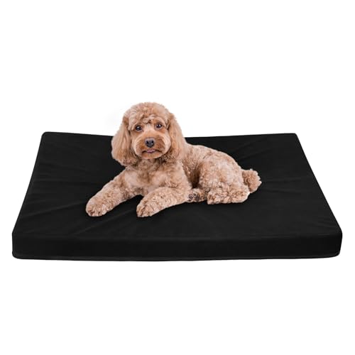 Easy-Going Hundebett für kleine Hunde, 100% wasserdichtes Deluxe-Plüsch-Hundebett mit rutschfester Unterseite, Eierkisten-Schaumstoff und maschinenwaschbarem Haustierbettbezug (50,8 x 38,1 x 7,6 cm, von Easy-Going