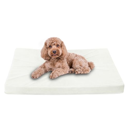 Easy-Going Hundebett für kleine Hunde, 100% wasserdichtes Deluxe-Plüsch-Hundebett mit rutschfester Unterseite, Eierkisten-Schaumstoff und maschinenwaschbarem Haustierbettbezug (50,8 x 38,1 x 7,6 cm, von Easy-Going