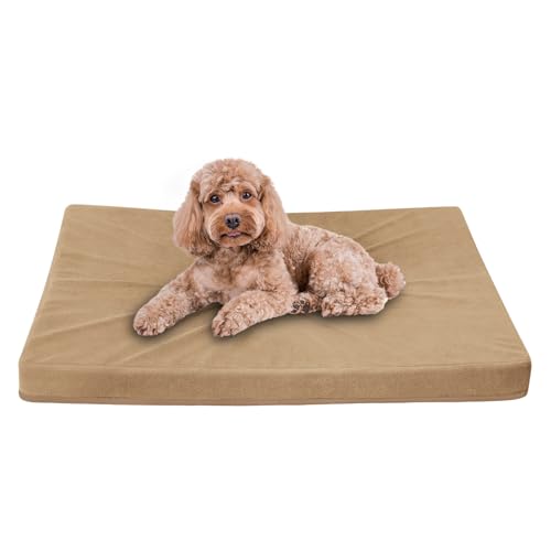 Easy-Going Hundebett für kleine Hunde, 100% wasserdichtes Deluxe-Plüsch-Hundebett mit rutschfester Unterseite, Eierkisten-Schaumstoff und maschinenwaschbarem Haustierbettbezug (50,8 x 38,1 x 7,6 cm, von Easy-Going