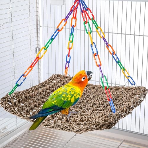 Vogelschaukel Spielzeug, Seegras gewebte Papagei Plattform Vogel Klettern hängende Sitzstange für Conures, Liebesvögel, kleine Sittiche, Nymphensittiche (S) von EasyByMall