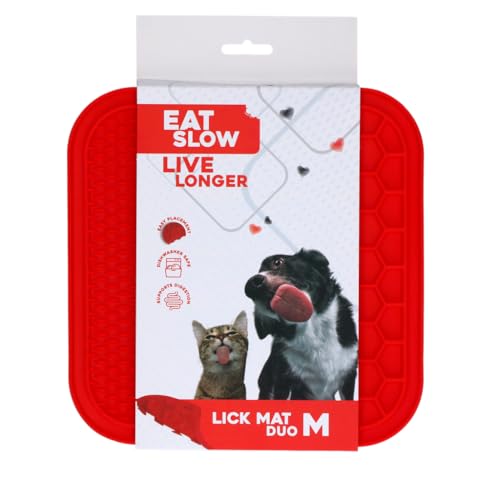 Eat Slow Live Longer Duo Leckmatte - 21 x 21 cm - Quadratisch - Schnüffelmatte - Anti-Schnüffelmatte - Slowfeeder - 100% Silikon - Spülmaschinenfest - Größe M - Antischlingnapf - Rot von Eat Slow Live Longer