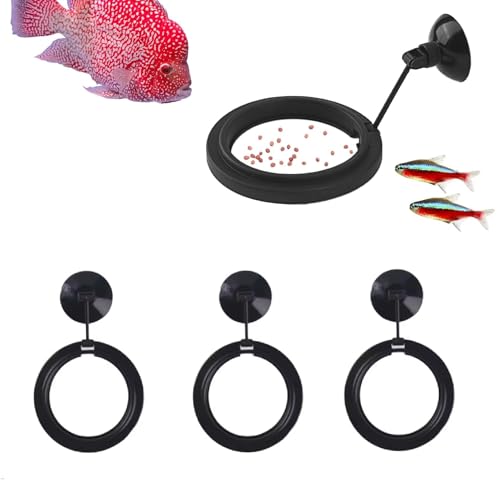 EatingBiting 3 x Futterring, 7,6 cm, rund, für Aquarien, hängender Futterspender, kleine runde quadratische Kreise, Saugnäpfe für Fische für Aquarien, schwimmendes Futter EatingBiting 3 x Futterring, 7,6 cm, rund, für Aquarien, hängender Futterspender, kleine runde quadratische Kreise, Saugnäpfe für Fische für Aquarien, schwimmendes Futter von EatingBiting