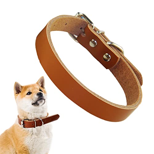 Gerolltes Hundehalsband Leder - Verstellbares mittleres Hundehalsband mit Schnalle - Haustier-Hundehalsbänder für den täglichen Spaziergang, Training und Outdoor-Sport von Eayoly