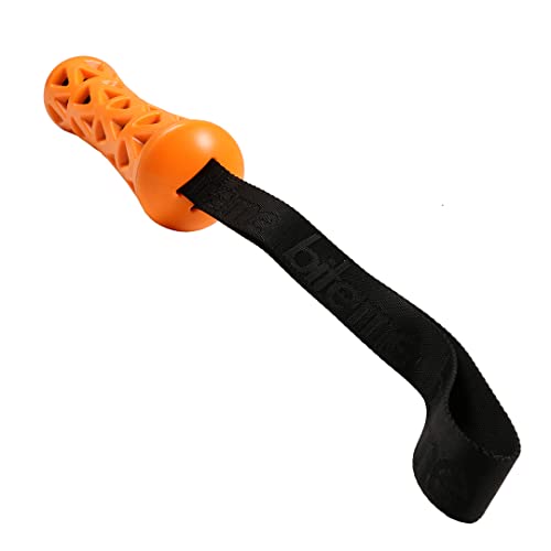 Ebi, Spielzeug Crack Me Up Stick L – 42 x 6,3 x 6,3 cm orange/schwarz, stimuliert Kauen und Bissen, beugt Zahnbelag und Zahnstein vor, Robustes Spielzeug aus Gummi mit Knisternpapier von Ebi