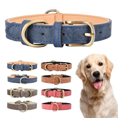 Doppeltes Hundehalsband aus Leder für kleine, mittelgroße und große Hunde, gepolstert, weich und stark, verstellbar, strapazierfähiges Hundehalsband (L, blau) von Ebony