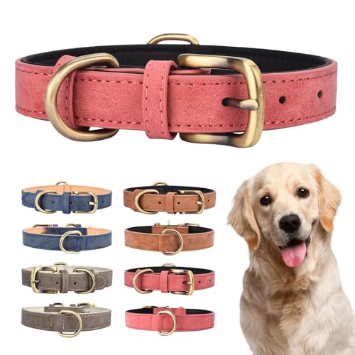 Doppeltes Hundehalsband aus Leder für kleine, mittelgroße und große Hunde, gepolstert, weich und stark, verstellbar, strapazierfähiges Hundehalsband (M, rot) von Ebony