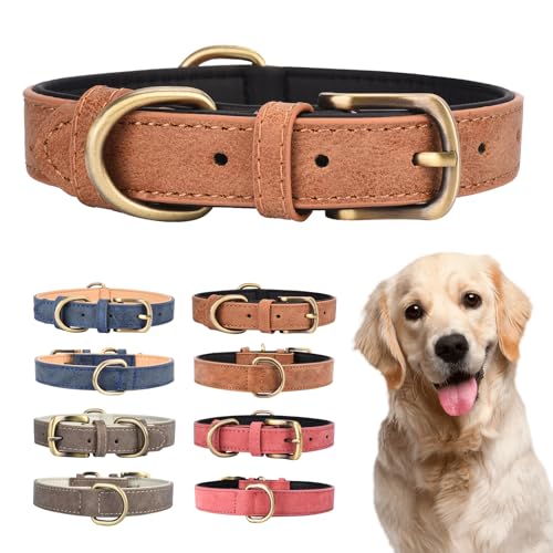 Doppeltes Hundehalsband aus Leder für kleine, mittelgroße und große Hunde, gepolstert, weich und stark, verstellbar, strapazierfähiges Hundehalsband von Ebony