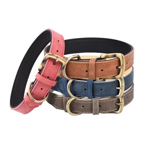 Klassisches Leder-Hundehalsband für kleine, mittelgroße und große Hunde, gepolstert, weich und stark, verstellbar, strapazierfähig, Hundehalsband von Ebony