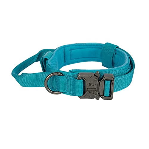 Echwave Langlebiges Hunde Halsband Leine Set Verstellbares Hunde Halsband MittelgroßEr Hund Hund ZubehöR (Blau) von Echwave