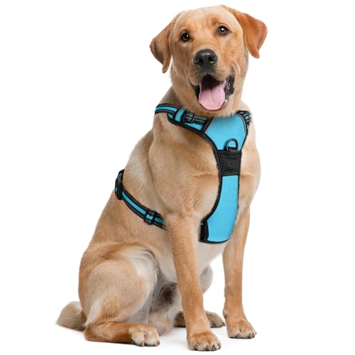 Dog Harness (Extra Large, Blue) for Running, Hiking & Training, Soft-Padded & Adjustable No-Pull Design Pet Harness W/ 2 Leash Clips & Reflective Strips for Safety, by EcoEarth von EcoEarth