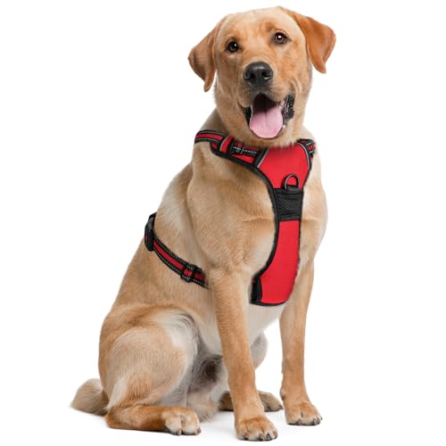 Dog Harness (Extra Large, Red) for Running, Hiking & Training, Soft-Padded & Adjustable No-Pull Design Pet Harness W/ 2 Leash Clips & Reflective Strips for Safety, by EcoEarth von EcoEarth