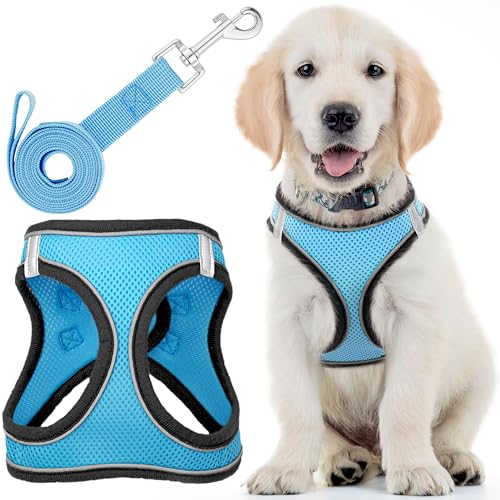 Dog Harness (Large, Husky Blue) W/Leash for Running, Hiking & Training, Soft-Padded & No-Pull Design Pet Harness W/Leash Clips & Reflective Strips for Safety by EcoEarth von EcoEarth