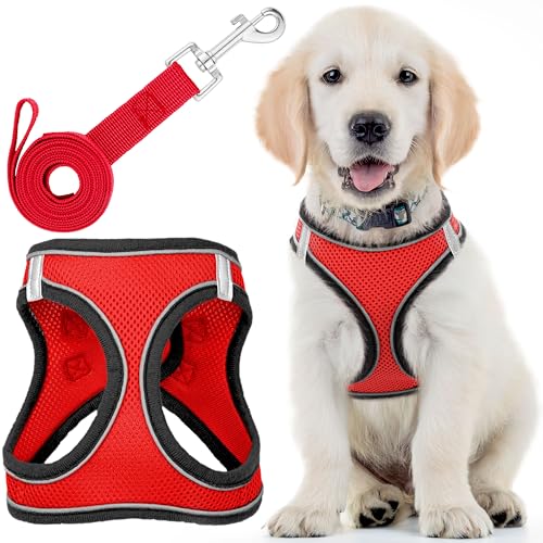 EcoEarth Dog Harness (Medium, Rover Red) W/Leash for Running, Hiking & Training, Soft-Padded & No-Pull Design Pet Harness W/Leash Clips & Reflective Strips for Safety by von EcoEarth