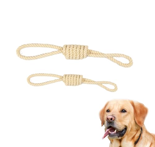 EcoKunst Hundespielzeugseil aus 100% natürlicher Baumwolle für kleine und große Hunde, Kauen, Zahnreinigung für Kleine/Mittlere Hunde (C110, 42 cm) von EcoKunst