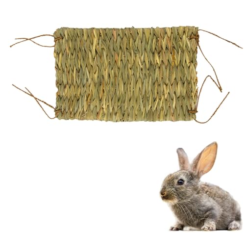 EcoKunst Kleine Haustier-Grasmatte Streu & Substrate Handgewebt Natürliche Kaninchen Grasmatten Spielzeug Hasen nager Kaninchen Ratte Papageien Frettchen Meerschweinchen Hamster zubehör (28 x 21 cm) von EcoKunst