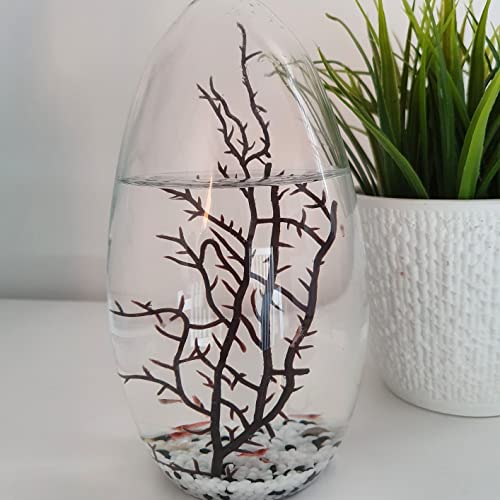 EcoSphere in Eiform - Miniaquarium aus der NASA Weltraumforschung - 19 cm Höhe von EcoSphere