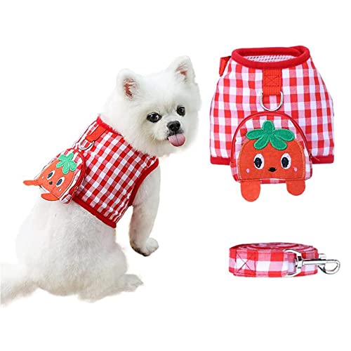 Ecoodisk Kein Pull -Hundegurt und Leine Set für kleine mittelgroße Hunde Welpenkatze Weste Kabelbaum mit niedlichen Obsttaschen weiche Mesh Palid Haustier Walking -Leitungen,A,XL von Ecoodisk