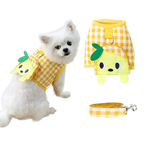 Ecoodisk Kein Pull -Hundegurt und Leine Set für kleine mittelgroße Hunde Welpenkatze Weste Kabelbaum mit niedlichen Obsttaschen weiche Mesh Palid Haustier Walking -Leitungen,B,XL von Ecoodisk